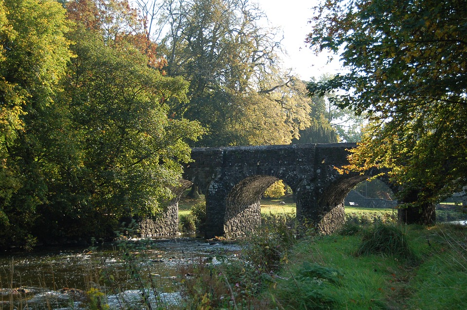 Green trees with stone old bridge and stream